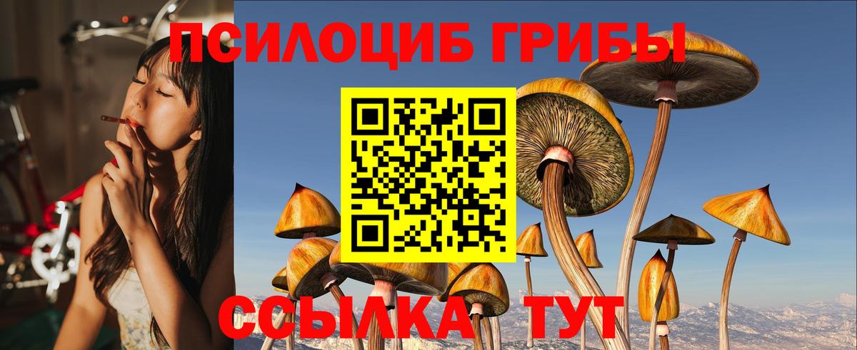 Псилоцибиновые грибы Cubensis Видное